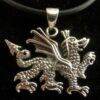 Stainless Steel Celtic Dragon Necklace