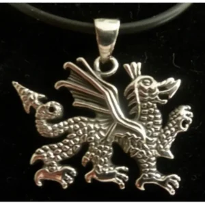 Stainless Steel Celtic Dragon Necklace
