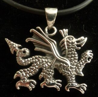 Stainless Steel Celtic Dragon Necklace
