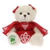 Lizzie - The Irish Dancer - Registered Irish Bear