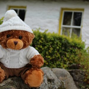 Finn - The Irish Fisherman - Registered Irish Bear - Image 3