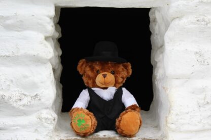 James - The Irish Poet - Registered Irish Bear - Image 3