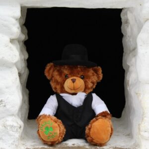 James - The Irish Poet - Registered Irish Bear - Image 3