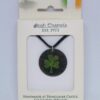 Irish Enamels: Shamrock are Supposed to be Green Necklace! Gorgeous!