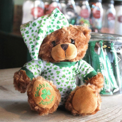 Ciaran - Registered Irish Bear Cub - Image 3