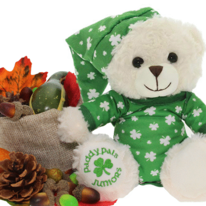 Èimear – Registered Irish Bear Cub - Image 3