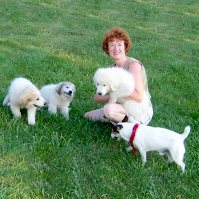 image of Irish Ann with white dogs and link to the About Irish Ann page