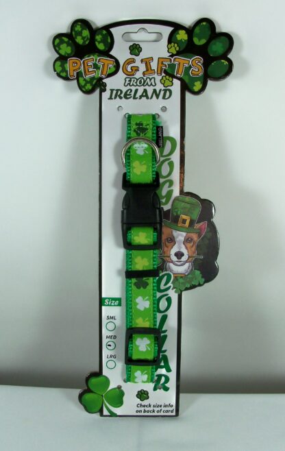Authentic Irish Shamrock Dog Collar - Medium