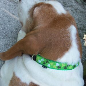 Alternative view of Authentic Irish Shamrock Collar and Leash Combo - Small