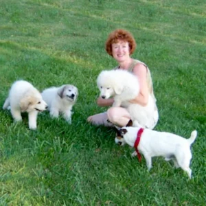 Ann and Dogs